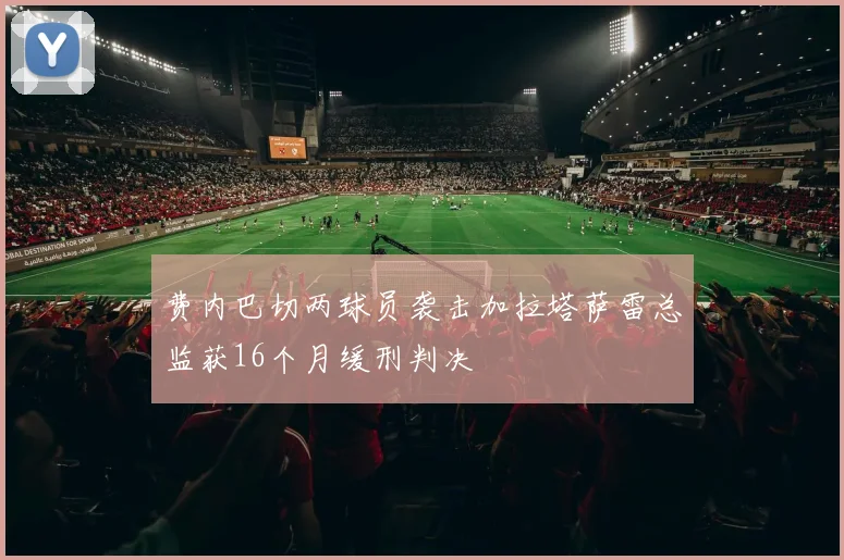 费内巴切两球员袭击加拉塔萨雷总监获16个月缓刑判决